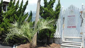 A private pool area with a white fence, palm trees, and a sign indicating no night swimming. - Ocean Front+Spacious living+Dog Friendly+Best Views+Pools+CB Pier+Freeman Park (Carolina Beach)