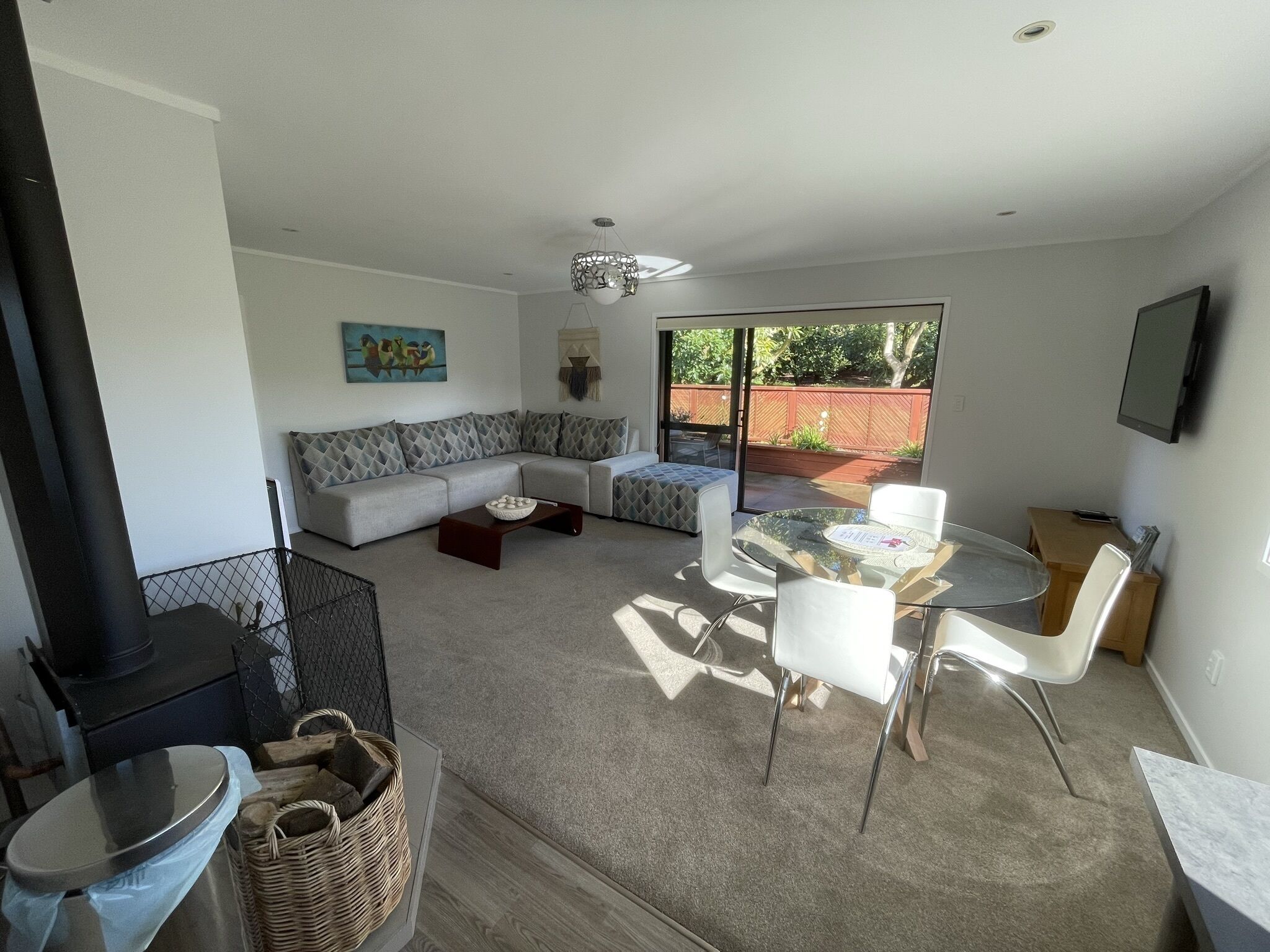 Smart TV, fireplace, books