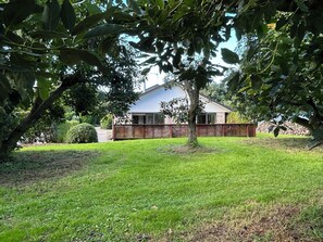 Property grounds - Peaceful Orchard Location - only 15 mins from Tauranga (Omanawa)