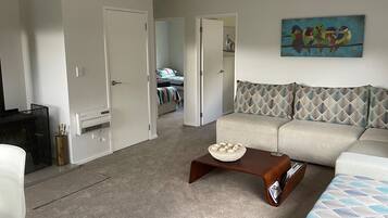 Smart TV, fireplace, books