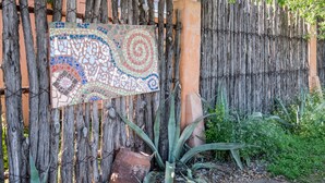 Une clôture en bois rustique ornée d’une enseigne en mosaïque, un grand pot en argile et des plantes vertes.