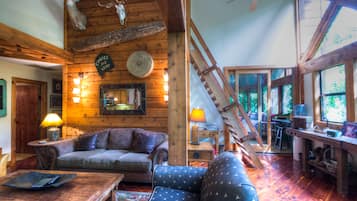 TV, fireplace, books