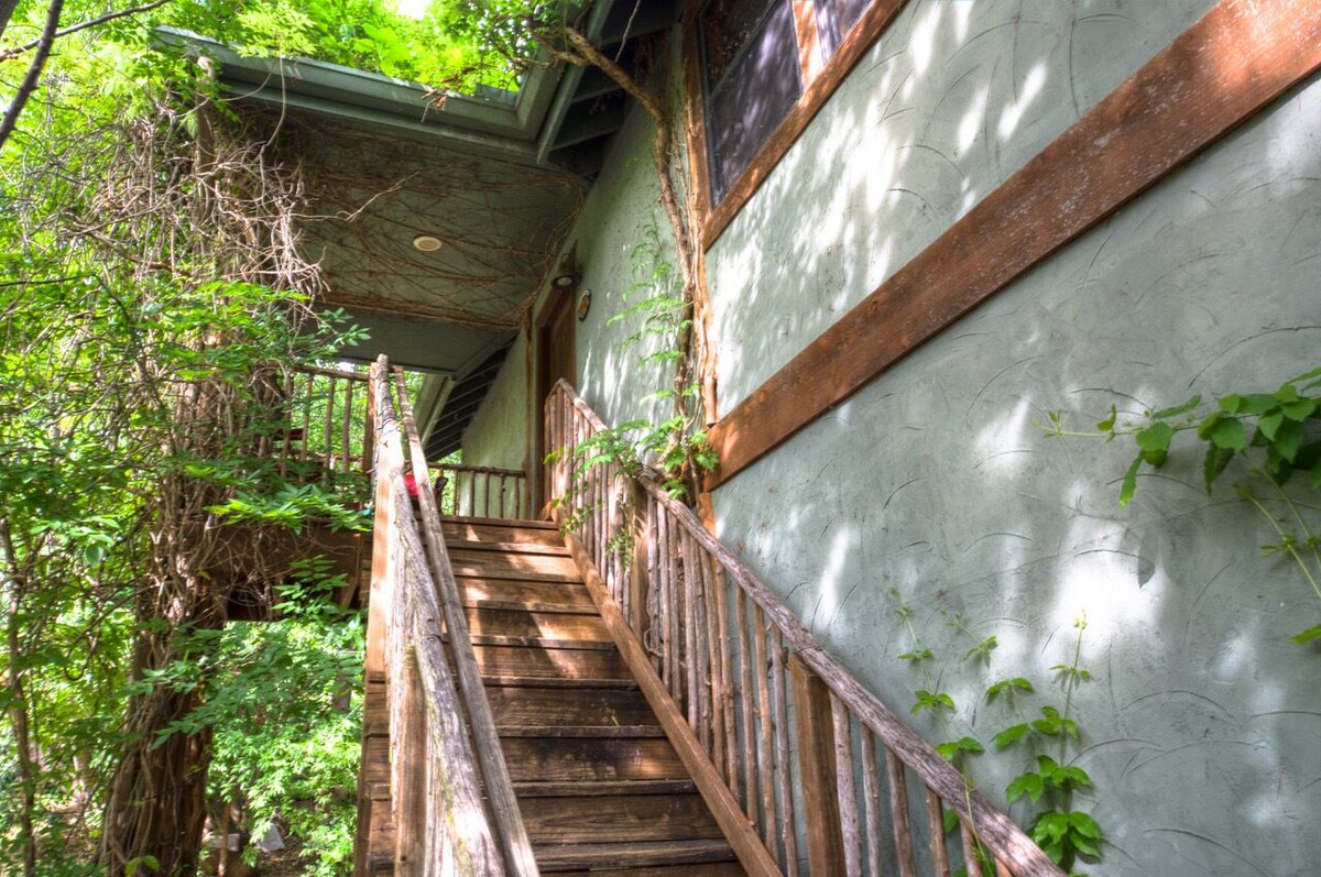 Photo 32 of Family Staycation Paradise -Lake Austin Waterfront:Volleyball, Kayaks, Hiking