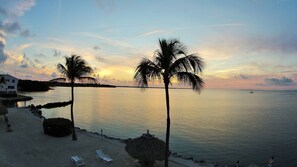 A beach with palm trees, a calm sea, and a sunset. - Futura Yacht Club Islamorada Condo – Heated Pool, Marina & Deeded Slip (Tavernier)