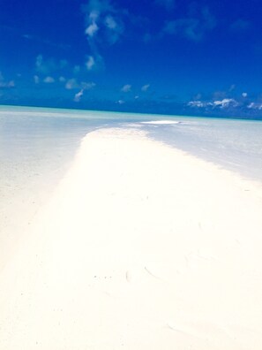 Toallas de playa