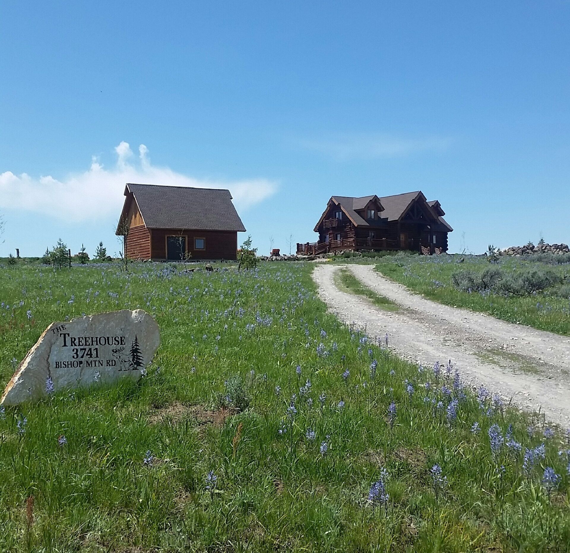 Une cabane en bois appelée « La cabane dans les arbres », située sur Bishop Mountain Road, entourée d’un paysage naturel et accessible par un sentier de terre.