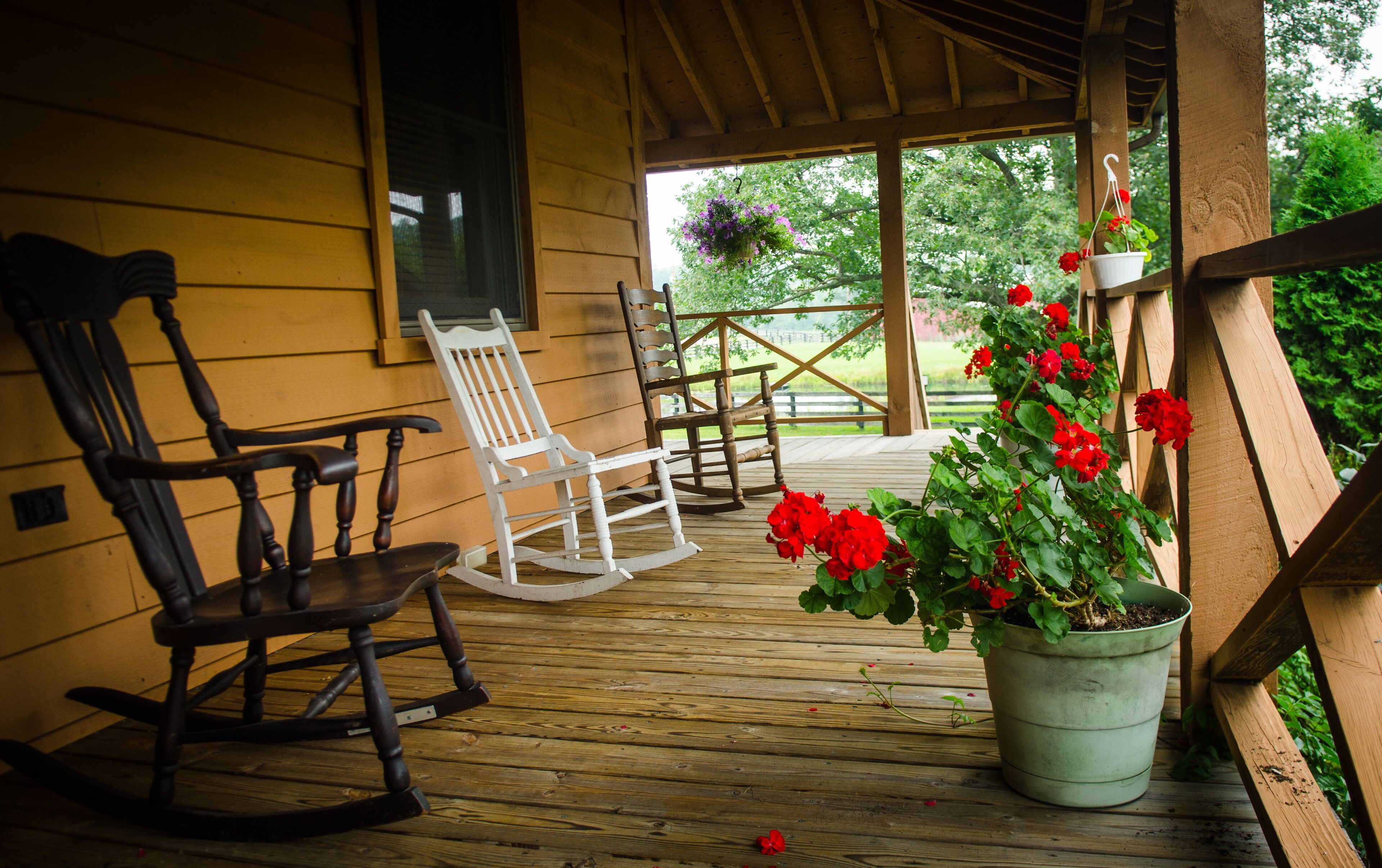 Quiet Country setting with beautiful views-Minutes to Ricketts Glen State Park