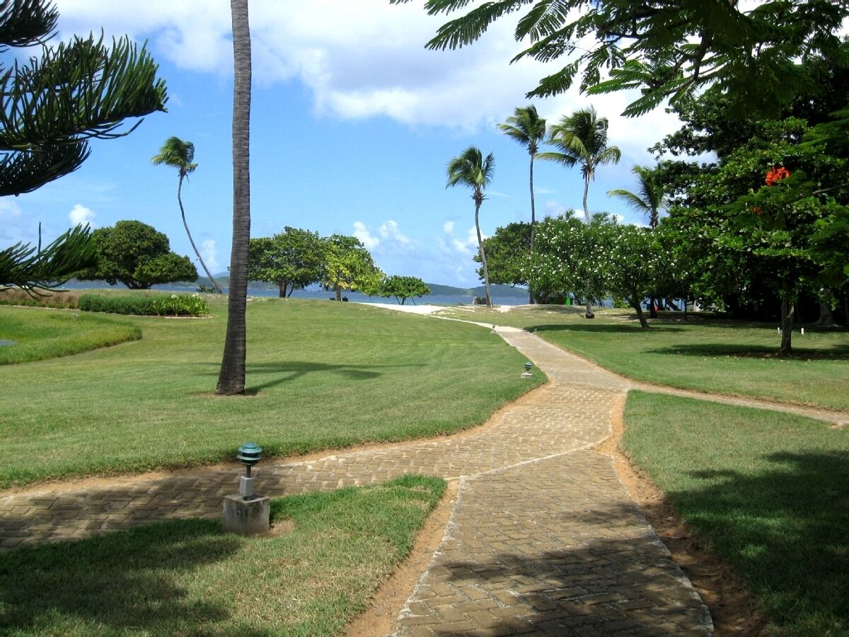 A paved pathway in a well-maintained grassy area with palm trees and a view of the ocean.
