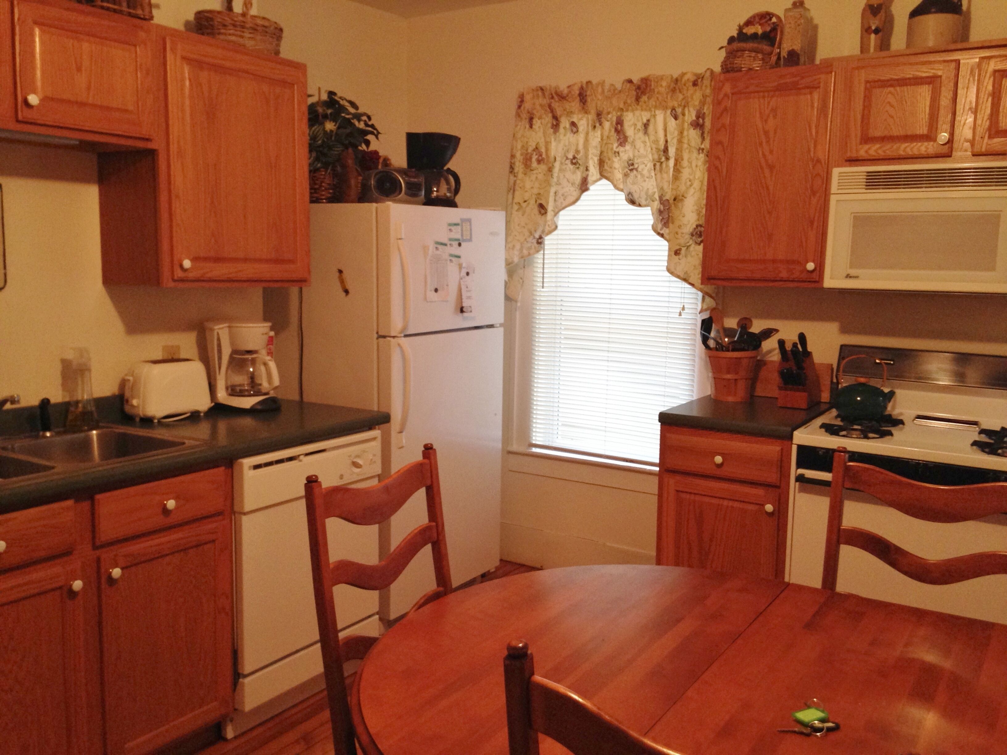 Okemo Mt. Family Affordable 1st floor, village shuttle, walk to town, Dogs OK 