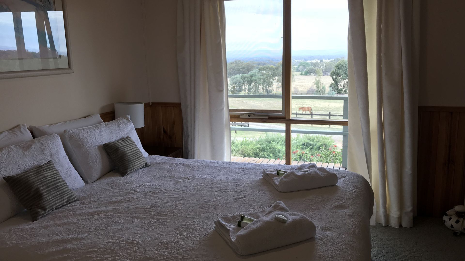 Warby Cottage - cottage with amazing view