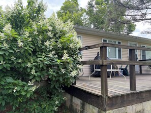 Outdoor dining - Secluded cottage! Amazing Views Whiteface Mtn & High Peaks! Great all 4 seasons! (Jay)