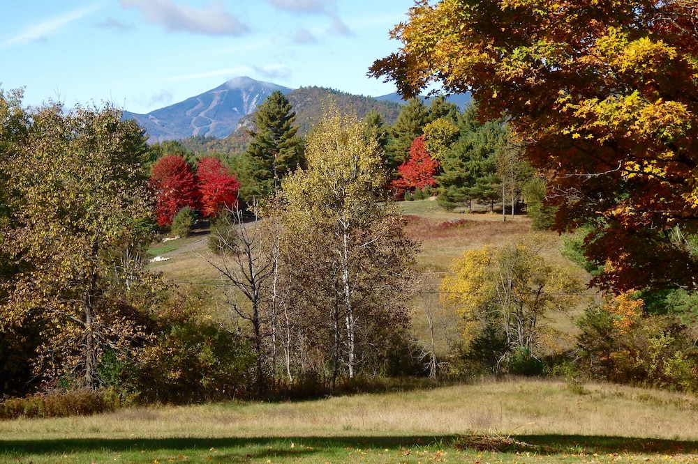 Secluded Cottage With Amazing Views of Whiteface Mountain & High Peaks!