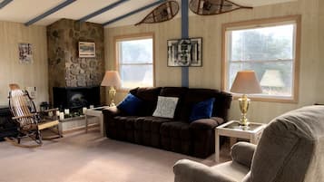 Smart TV, chimenea, reproductor de DVD y juguetes