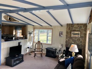 Smart TV, fireplace, DVD player, toys