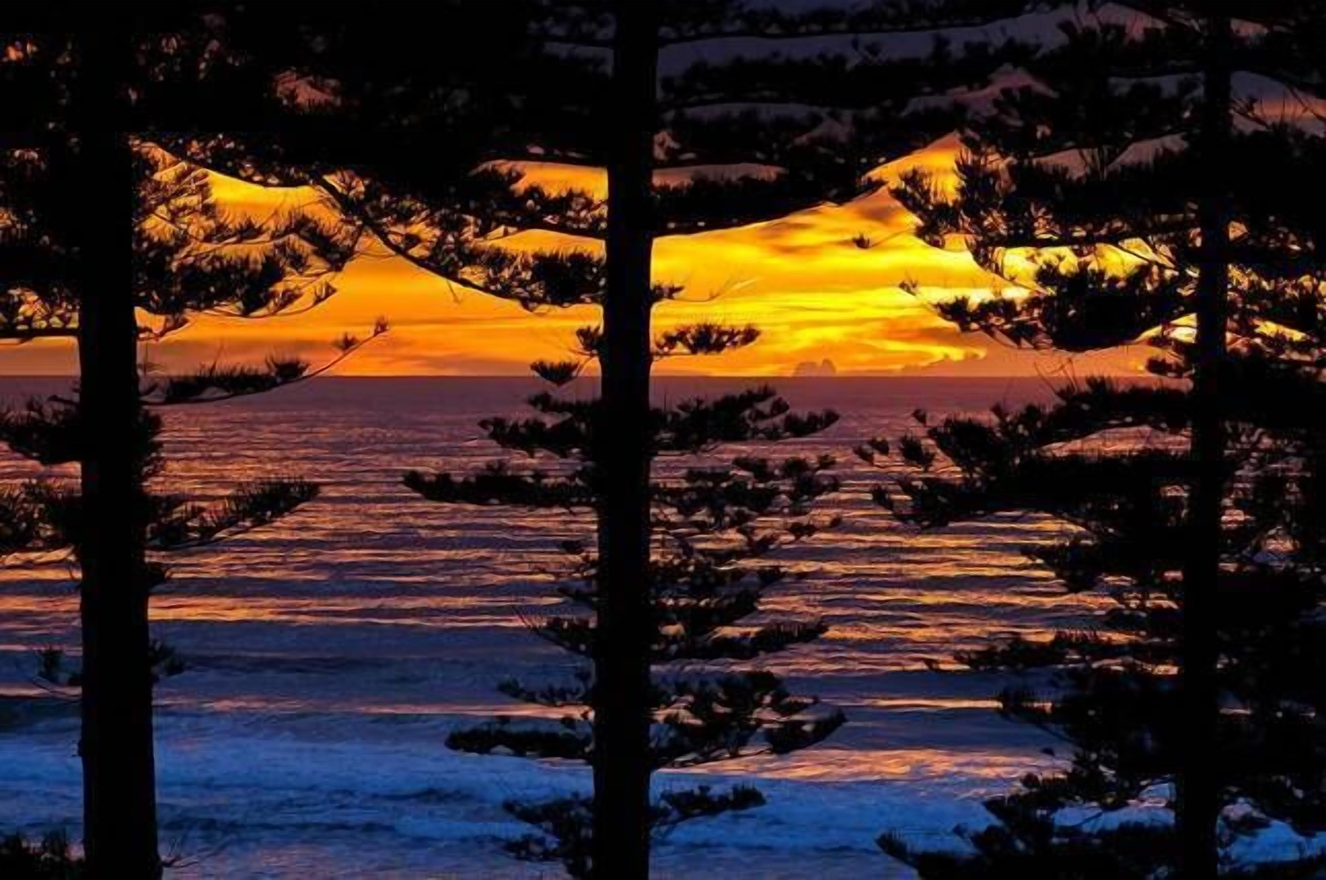 Manly Seaside Bliss 1 br apartment fabulous views — image 2