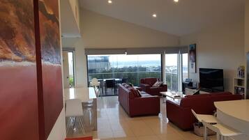 Smart TV, DVD player, video library, stereo