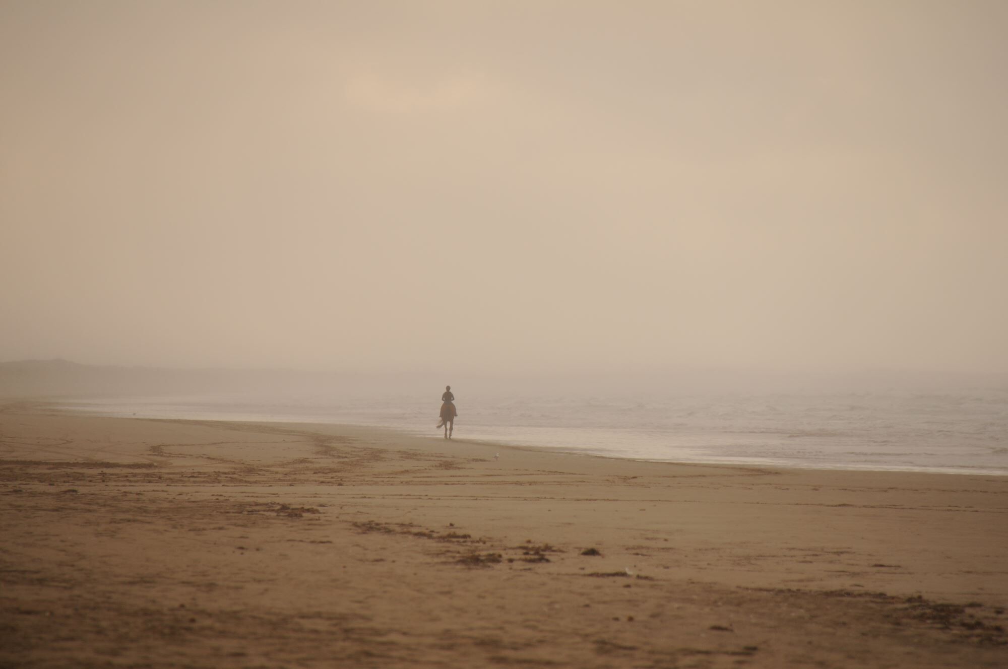 A beach with a person walking along the shore.