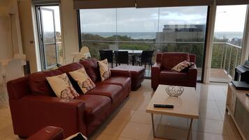 Smart TV, DVD player, video library, stereo