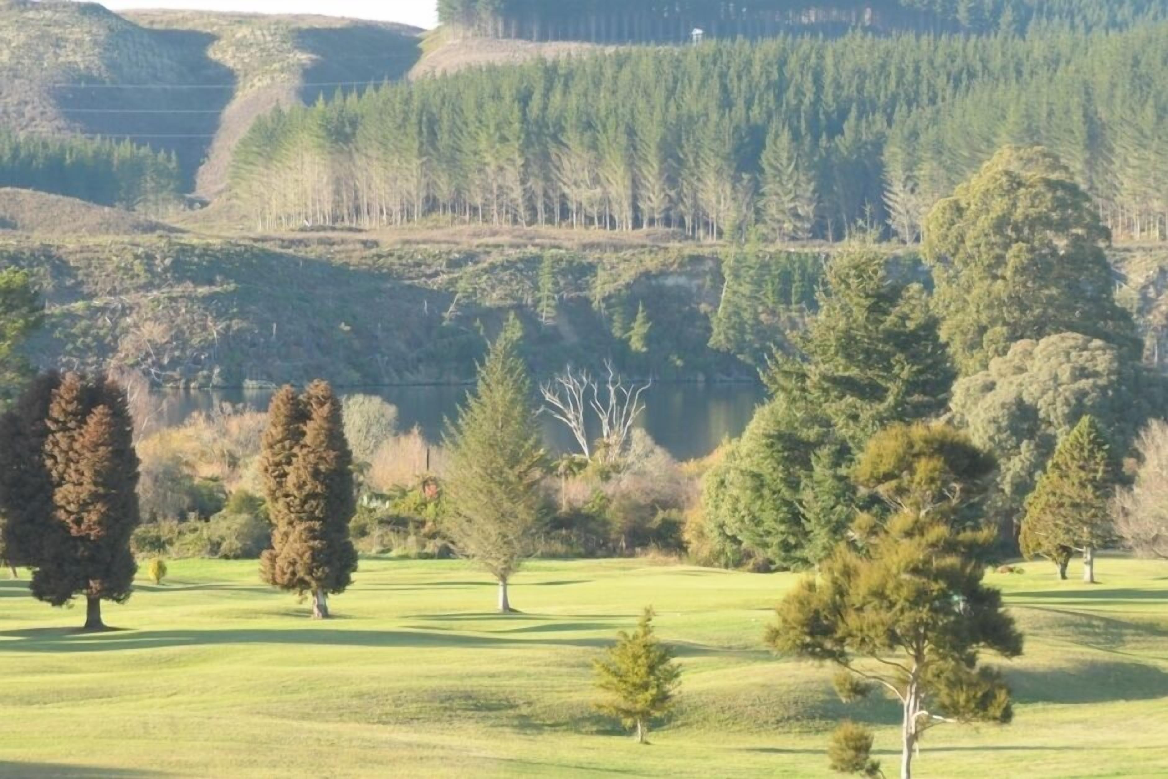 A golf course with a variety of trees and a hilly landscape in the background.