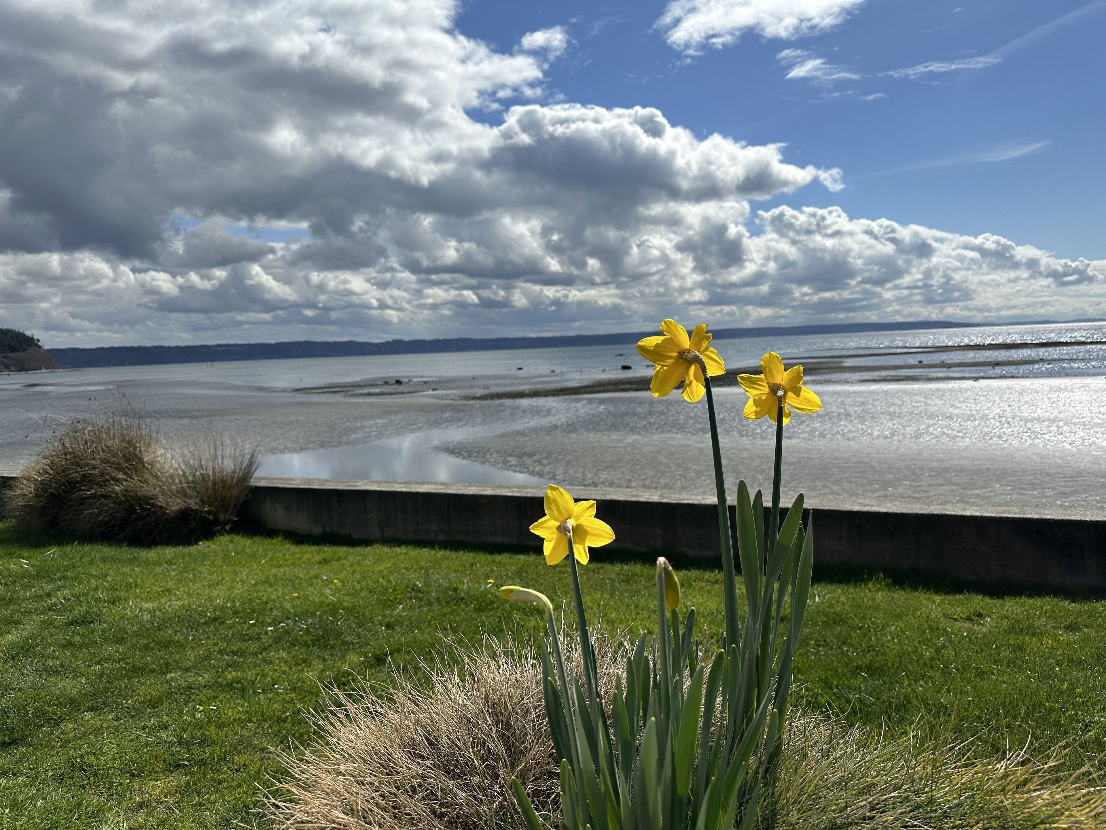 Low tide