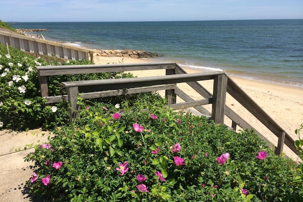 Beach roses on our beach, view from communal deck, no crowds, enjoy the view
