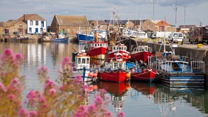 A harbor with boats docked, a stone building with blue and white walls, and a clear sky. - A  stylish and sophisticated property centrally located in Howth (Howth)