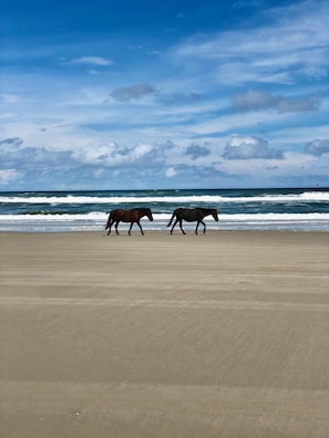 En la playa y camastros 
