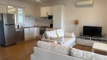 TV, DVD player, video library