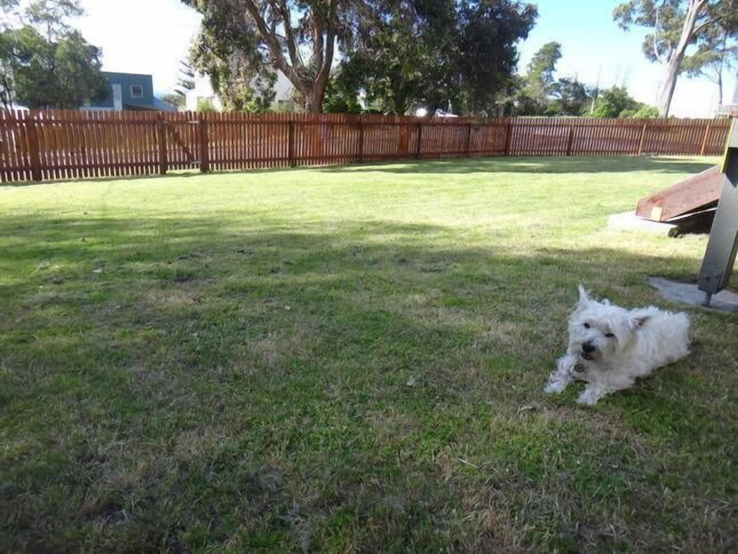 Binalong Beach House — image 3