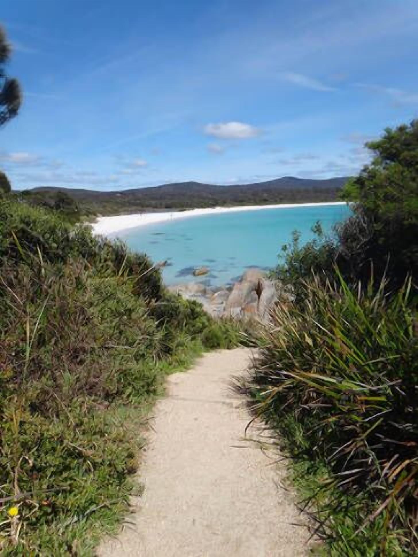 Binalong Beach House — image 15