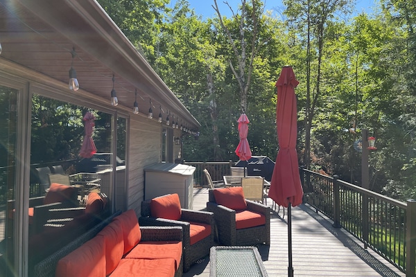 Back deck