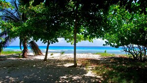 A beach with trees and a clear view of the ocean. - Palm Beach 109 Hastings Barbados, 3 Bdrm condo. Beachfront, Pool, Best location! (Hastings)