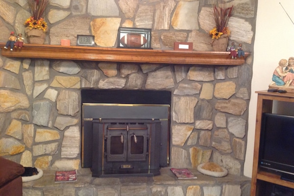 Fireplace Insert & Living Room