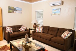 Smart TV, toys, books