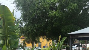 Un espace jardin aménagé avec un chemin de gravier, des bananiers et un kiosque.