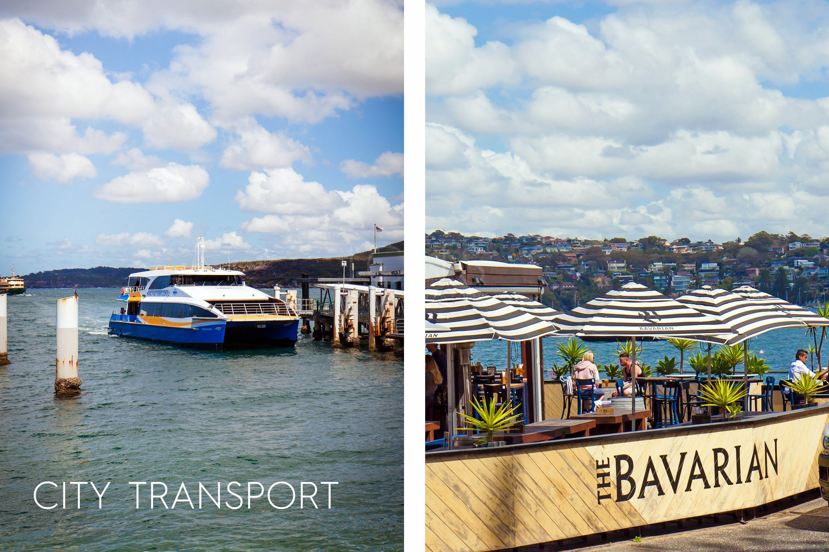 Manly Blue Retreat Apartment — image 19