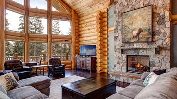 TV connectée, cheminée, livres