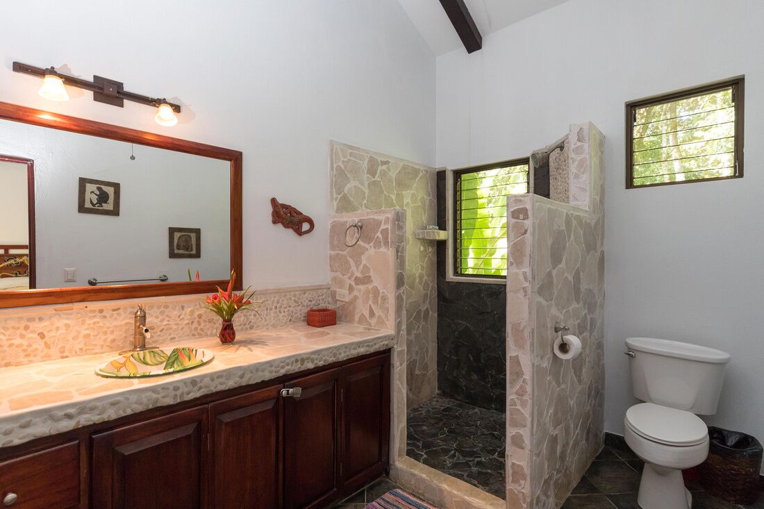 A bathroom with a stone shower enclosure, a white toilet, and a vanity with a mirror.
