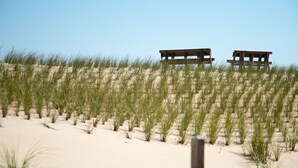 Two wooden picnic tables on a sandy beach with grass in the foreground.