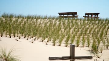 Aan het strand