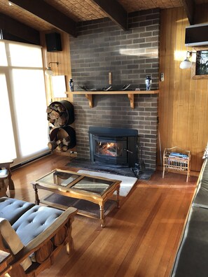 TV, fireplace, DVD player, books