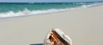 Condo w/Views, Beach, Htd Pool, Golf Cart