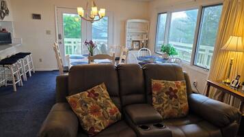 Smart TV, fireplace, DVD player, books