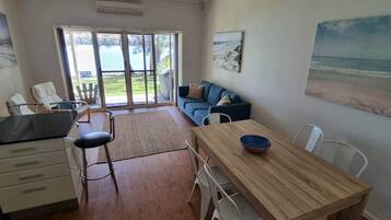 TV connectée, cheminée, lecteur de DVD, livres