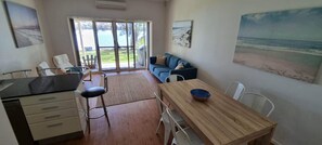 Smart TV, fireplace, DVD player, books