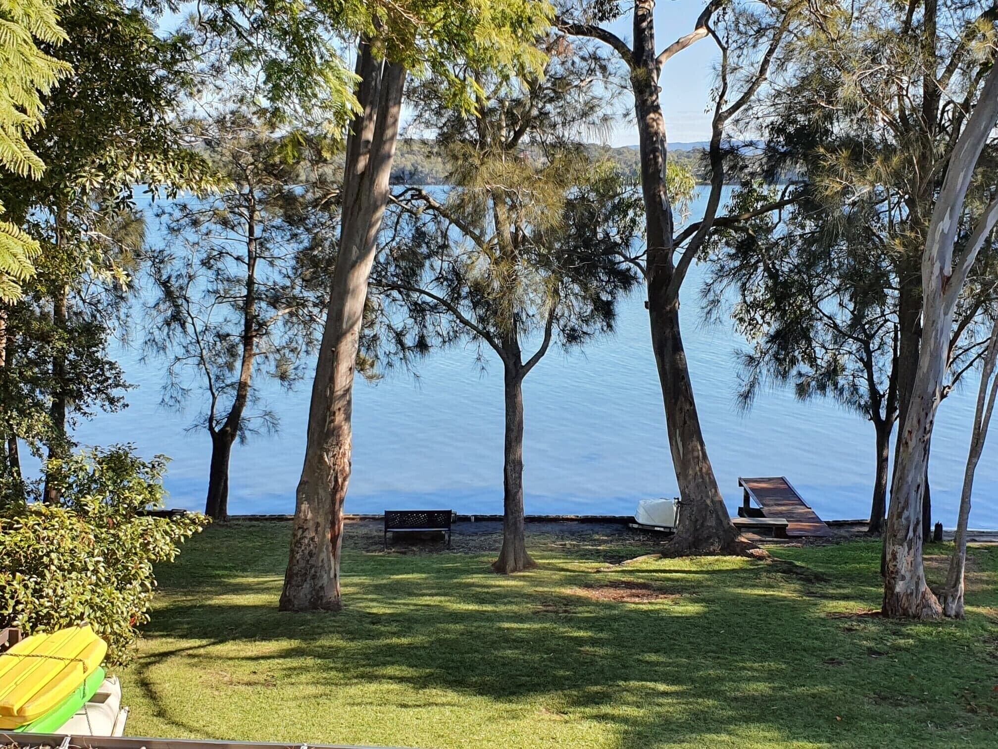 A grassy area with trees and a bench by a body of water.