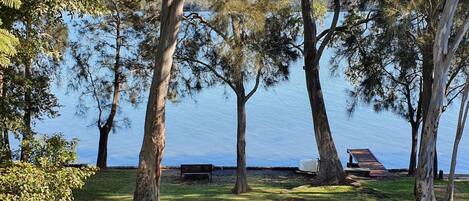 A grassy area with trees and a bench by a body of water.