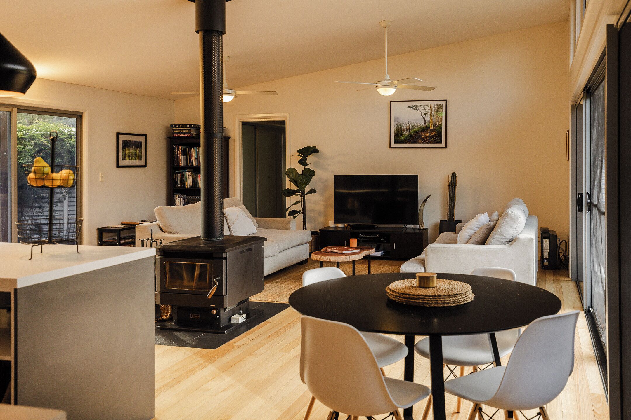 TV connectée, cheminée, lecteur de DVD, livres