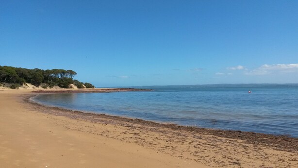 A sandy beach with a calm sea, a clear sky, and a forested area in the background. - Relax at Red Rocks - Pet friendly- WiFi - Winter special 4th night free (Cowes)