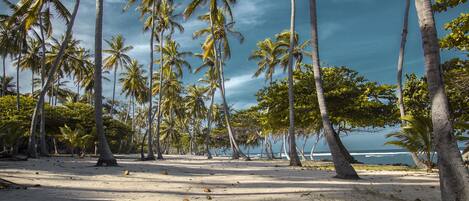 Playa en los alrededores